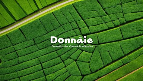 Colluder : Définition simple et facile du dictionnaire .
